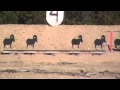 Ridgeway Rifle Club 2014