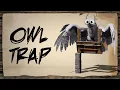 How to Build a Snow Owl Taming Trap ASA