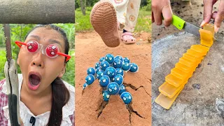 Survival Skills: SMART idea and USEFUL in Forest #bushcraft #camping #outdoors 