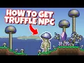 How to get Truffle NPC in Terraria