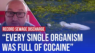 Download Cocaine fish: 450 years worth of sewage discharged into UK waters | LBC analysis MP3