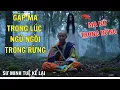 Download Lagu Sư Minh Tuệ Gặp Ma Khi Ngủ Ngồi Trong Rừng Sâu