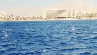 Sea Of Aqaba بحر العقبه 