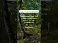 13 acres in Kentucky - 20K