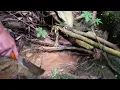 CEO Leaves the City to Start a New Life in the Countryside | Full Video