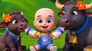 Baby Buffalo Feed Song New Compilation | Old MacDonald | Baby Cartoon & Kids Songs Baby Bobo