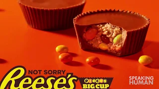 AdWatch Reeses Not Sorry - Decisions