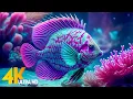Download Lagu 🐠 Aquarium 4K UHD | Beautiful Coral Reef Fish for Sleep, Relaxation \u0026 Meditation Music