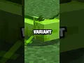 Minecraft s Rarest Axolotl
