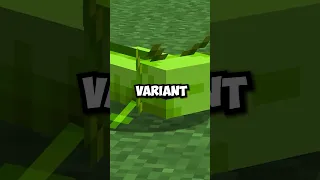 Minecraft s Rarest Axolotl