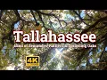 Download Lagu Tallahassee  - Land of Seminoles, Rattlers, and Sprawling Oaks