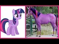 Download Lagu My Little Pony All Characters IN REAL LIFE 👉@WANAPlus
