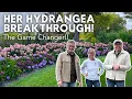 Download Lagu How Hydrangeas Happen 🌿 Inside the Breeding Program at Proven Winners Color Choice Shrubs