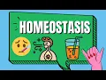 Homeostasis Examples