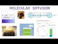 Section 3 Overview - Molecular Diffusion in Mass Transfer Lec109