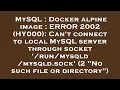 MySQL Docker alpine image ERROR 2002 HY000 Can t connect to local MySQL server through socket