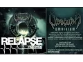Download Lagu OBSCURA - \