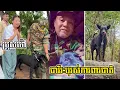 Download Lagu 🐕អូនម៉ៅ អ្នកស៊ើបការកងទ័ពសុនក ផ្កាយបី ច្បាំងជាមួយសុនកខាងសៀម ១ ទាល់ ៥👏🏻🇰🇭