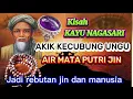 Download Lagu KISAH MISTERI !! BATU AKIK KECUBUNG UNGU SUNAN BONANG \u0026 NAGASARI