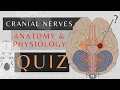 Cranial Nerve Quiz Easy Quick Review Anatomy physiology