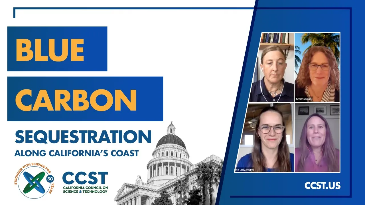 Blue Carbon Sequestration Along California's Coast: A Virtual CCST Expert Briefing