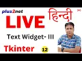 Mastering the Tkinter Text Widget Delete Attributes Focus Techniques