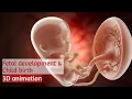 Download Lagu Fetal development week by week | Childbirth animation | Stages of labor @medicalbytes09