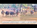 Download Lagu SAPU  ANGIN || BILES GETEL || HAIKAL ||  LARAPAN BERTABUR BINTANG || LGPI 