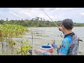 Download Lagu Andalan  !!  Campuran Lumut untuk mancing Nila liar