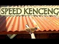 Download Lagu MASTERAN GEREJA TARUNG || NEMBAK NEMBAK