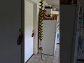 Bumblebee Wind Spinner