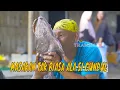 Download Lagu [VOLLEDIG] ONGEWONE KEUKEN ALA SI GUNDUL | BULLY TRAIL (21-07-25)