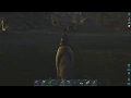 How to get a Dire Wolf Saddle - ARK Ragnarok
