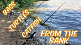 Catching BIG catfish with a Zebco 33