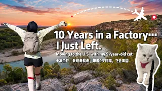I Threw Away 10 Years and Moved to the U.S. | With My Cat | Worth It or Regret?｜抛下一切去美国，值吗