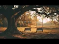You're not alone | Piano Playlist