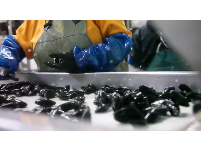 Outline Video PEI Mussels: A Sustainable Story - Preparing for Market
