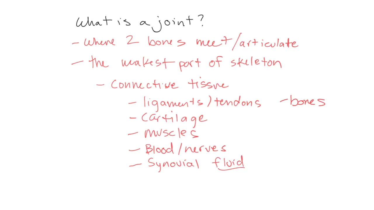 Joints I A&P I