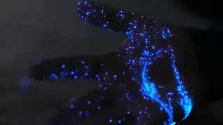                                                   دندنها