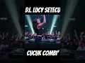 Dj. Lucy || lagu bugis terbaru \