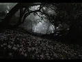 Poison Tree - Grouper (slowed + instrumental)