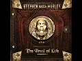 Scars On My Feet (feat. Waka Flocka Flame) - Stephen Marley