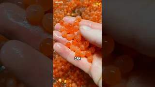 How To Take Salmon Eggs Shorts 