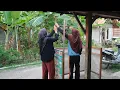 Lagu LEK NANI BELI STAND UNTUK DAGANG