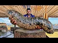 Lagu Rare Giant Fish Like a Sea Cucumber | Amazing Village Fish Cutting