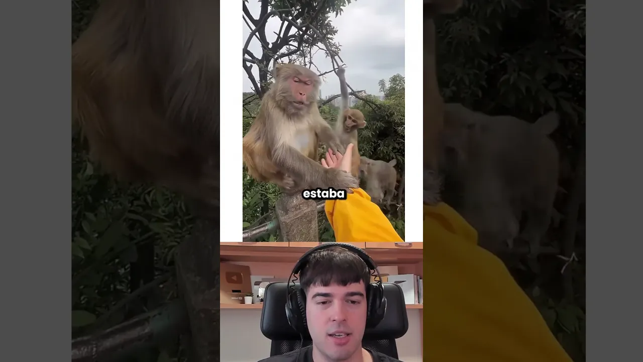 ESTE MONO SE ENFADÓ