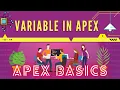Learn Apex Variables in Salesforce Day 1 of Apex Development Series