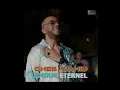 Cheb Wahid - Amour Éternel (DJ Kadir remix)