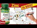 Download Lagu Zinksupplement: Wat doet zink voor het lichaam? Voordelen van zink en zinktekort en bronnen