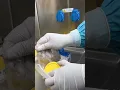 Mycobacterium tuberculosis lab practice in Microbiology TB laboratory GeneXpert